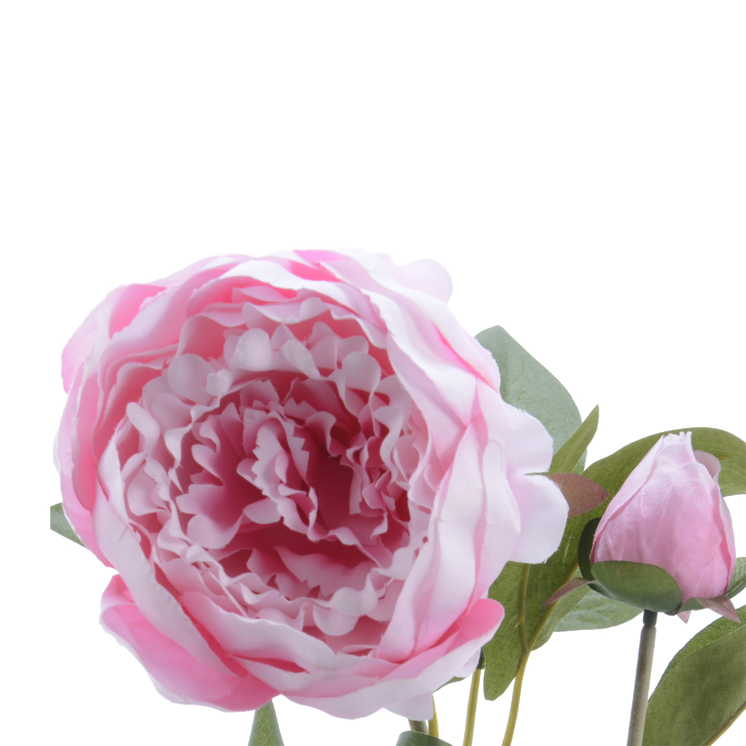 Pfingstrose mit 2 Blüten und Knospe am Stiel - Kunstblume - H: 75cm - rosa