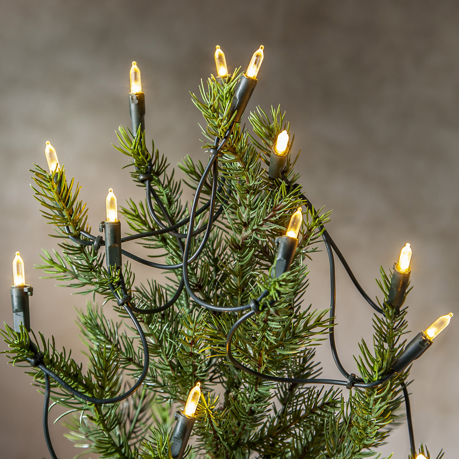 LED Lichterkette Pisello - Weihnachtslichterkette - 20 warmweiße LED - L: 2,85m - für Innen